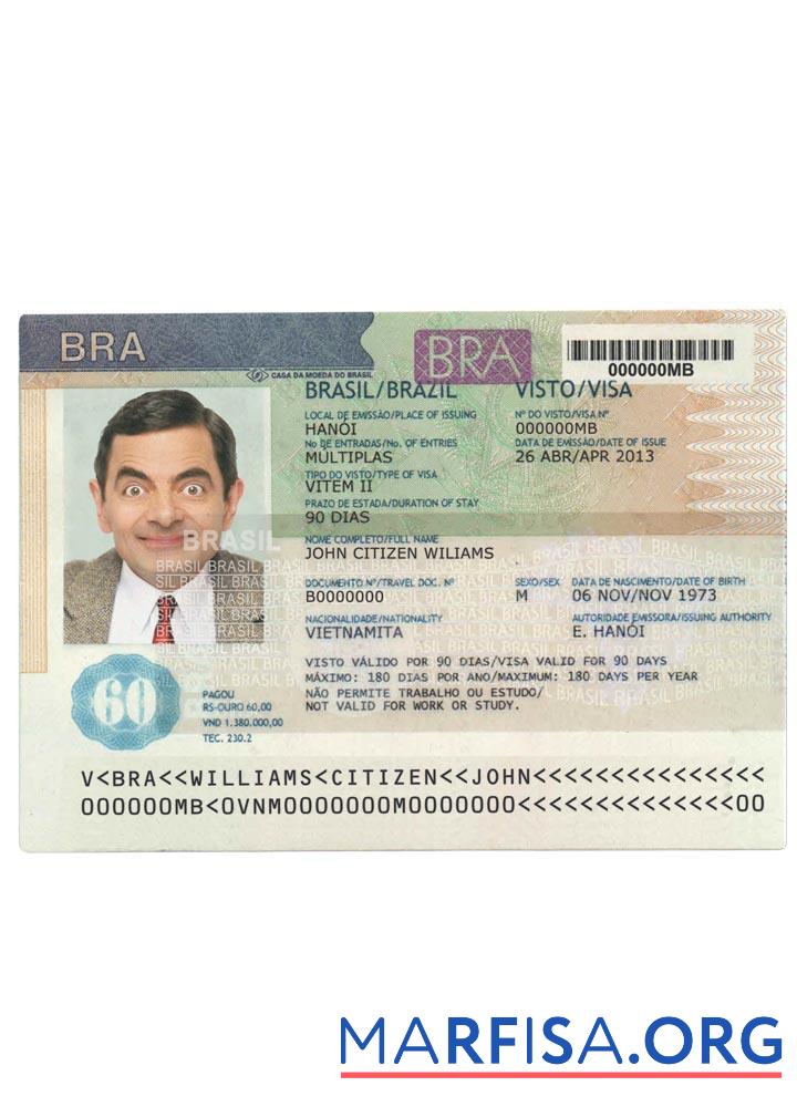 Downloadable Brazil visa version 2 download for verification